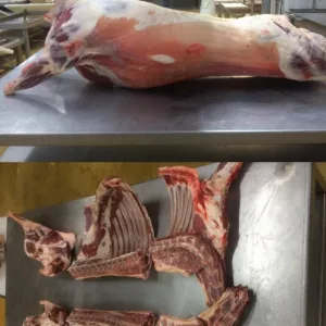 Мясо Баранина Говядина на Дубай Европу Китай