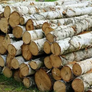 Продажа дров береза/сосна 1-2-4 метра (кругляк) Житомирская Область