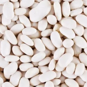 Квасоля в асортименті.