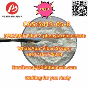 CAS:5413-05-8;High quality 99% Purity PMK/BMK Ethyl 2-phenylacetoacetate