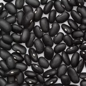 Feijão com entrega da Ucrânia