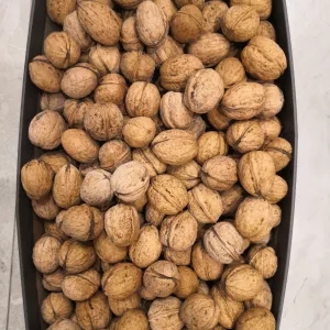 ПРОДАМ ОРЕХ ГРЕЦКИЙ НЕЧИЩЕНЫЙ 20 ГР. ЗА КГ, В НАЛИЧИИ ПРИМЕРНО 80 КГ.