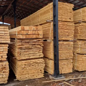 Палетка сосна