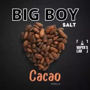 Рідина для пода BIG BOY Salt «Cacao vanila» 30 ml