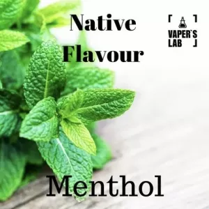 Жижа для вейпу Native Flavour «Menthol» 100 ml