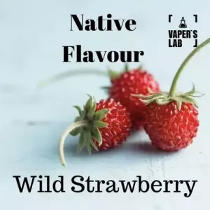 Рідина для вейпу Native Flavour «Wild Strawberry» 100 ml