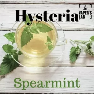 Жижа для вейпу без нікотину купити Hysteria «Spearmint» 100 ml