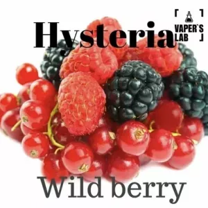 Купити заправку для вейпу Hysteria «Wild berry» 100 ml