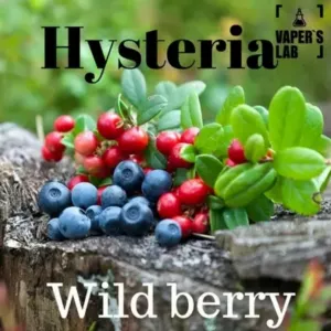 Жижі для подів з нікотином Hysteria Salt «Wild Berry» 15 ml