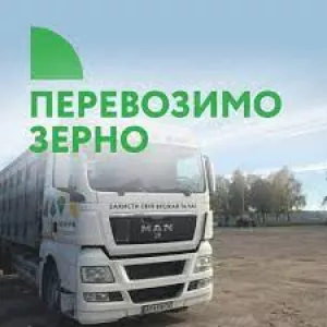 ПЕРЕВОЗКА ЗЕРНА по Украине автомобильным транспортом.