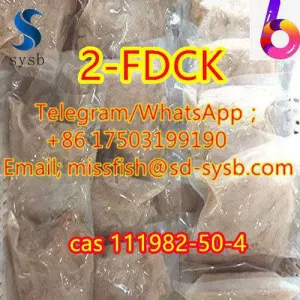 CAS;111982-50-4 2-FDCK 2fdck 2f-dck,2FDCK, 2-fluorodeschloroketamine