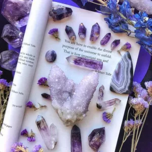 Гадалка. Ясновидящая. Таролог