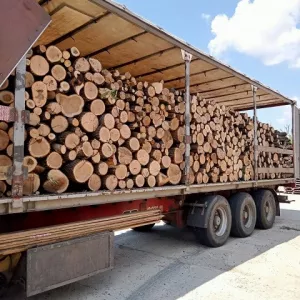Продам дрова Одесса.