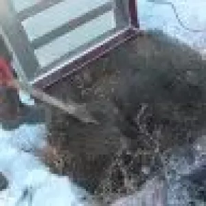 Электронагреватель высокотемпературный (прогрев мерзлой земли за 2-4ч)