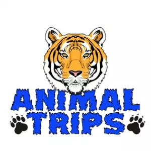 перевозка животного через границу