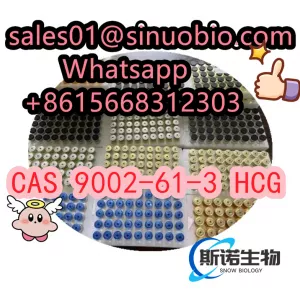 Factory Direct Selling: Chorionic Gonadotropin CAS 9002-61-3 99% Purity White Powder Sinuo。