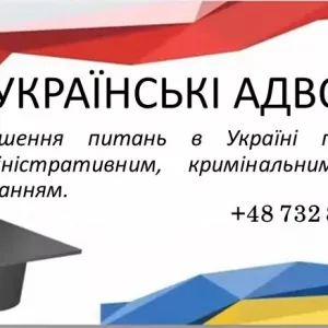 Українські адвокати