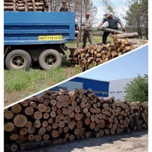 Продам дрова твердых пород, уголь Одесса.