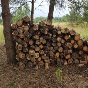 Продам дрова в наличии 7-8 куб поможем с погрузкой.(skierdy)