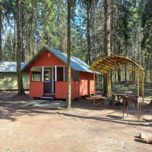 Аренда домика на турбазе «Молодость», 2000 р.