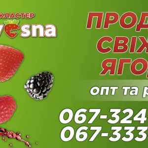 Пропонуємо якісну, сертифіковану ягоду оптом