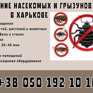Уничтожение грызунов и насекомых в Харькове.