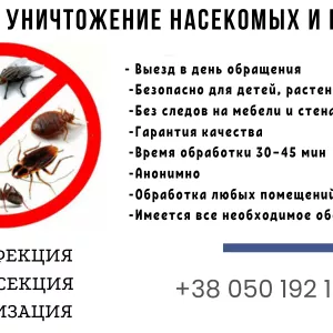Услуги по уничтожению грызунов и насекомых в Харькове.