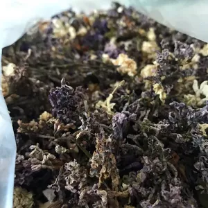 Сухая сирень упаковка 50 грамм