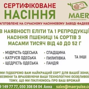 Продаж сертифікованого насіння пшениці