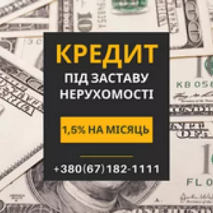 Кредит до 20 млн гривень під заставу нерухомості в Києві.