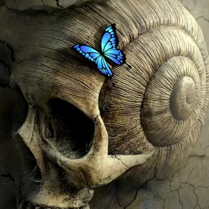 BLACK MAGIC RE-UNITE WITH YOUR LOVER SPELLS IN THE WORLD +27672740459.