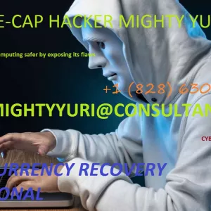Hire the best hacker in the world