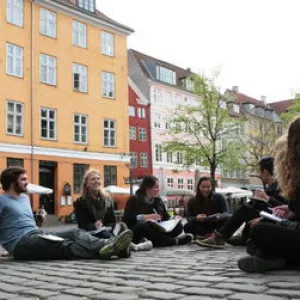 Вища освіта та навчання в Данії