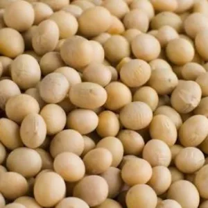 Куплю сою та половинки сої