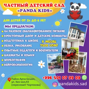 Частный детский сад «Panda Kids»