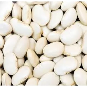 Купуємо на переробку білу квасолю