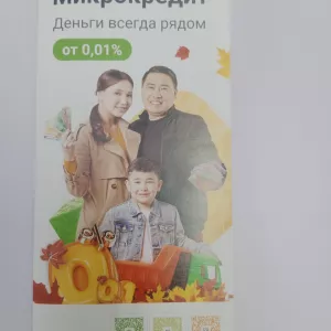 Микрозаймовая организация