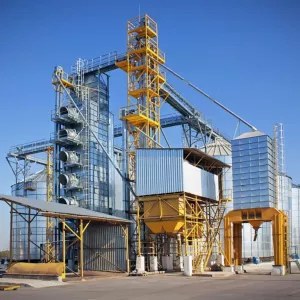 Услуги элеватора: сушка, очистка и хранение зерна. Киевская обл.