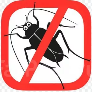 Тараканы в многоквартирном доме. Помощь юриста