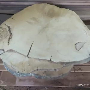 Меблевий щит з термодерева, слеби, стільниці з термодуба і термоясена