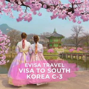 Visa C-3 for foreign citizens staying in Kazakhstan | Evisa Travel