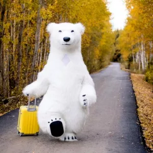 Белый мишка Одесса.Заказать медведя в Одессе,Черноморск,Овидиополь,Южный,Бугаз,Затока,Грибовка,Раздельная,Выгода,Болград,Измаил,Доброслав.