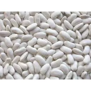 Закуповуємо оптом квасолю білих сортів на переробку