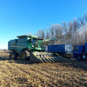 Хозяйство по выращиванию зерновых культур