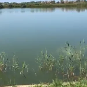 Рыболовно – охотничий комплекс