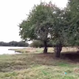 Земельный участок 3,6 Га