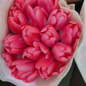 Тюльпаны розовые. Композиции , букеты , микс.