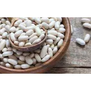 На постійній основі закуповуємо білу квасолю