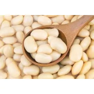 Переробник закуповує білу квасолю різних сортів