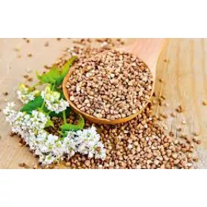 Продаж гречки. Зерно гречки. Гречиха